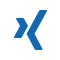 Xing Logo